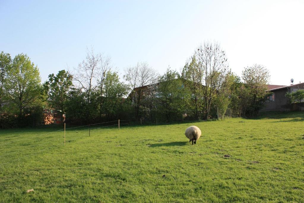 Landhotel Rosenschänke Kreischa Exterior foto